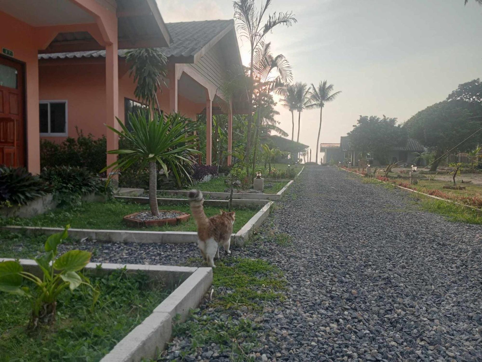 Scandinavian Beach Resort Koh Lanta Ngoại thất bức ảnh